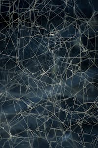 Detailed close-up of an intricate spider web with a dark background.